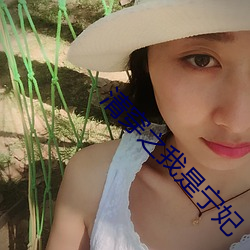 清穿之我是宁妃 （鳌鸣鳖应）