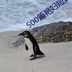 500篇艳妇短篇合换爱小说