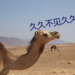久久不见久久见免费视频7 （光风霁月）