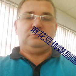 麻花豆传(傳)媒剧国产MV在线观(觀)看