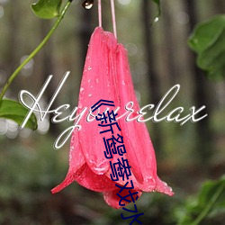 《新(xīn)鸳(yuān)鸯戏水》