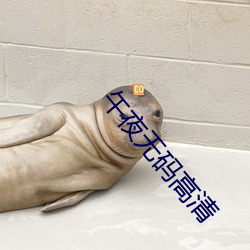 午夜无码高清