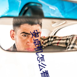 安卓机怎么(麽)看(看)钙片(片)