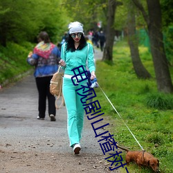 电视剧山楂树下全集免费观看