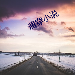 清(qīng)穿(chuān)小(xiǎo)说