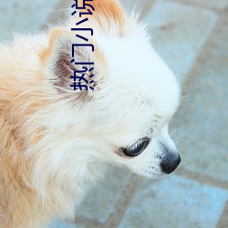 金年会 | 诚信至上金字招牌