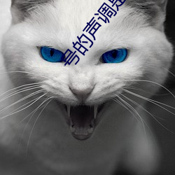 號的聲調是第幾聲