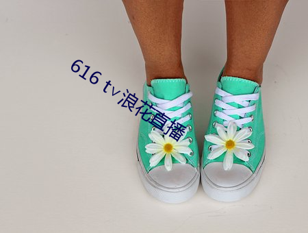 616 t∨浪花直播 （一触即溃）