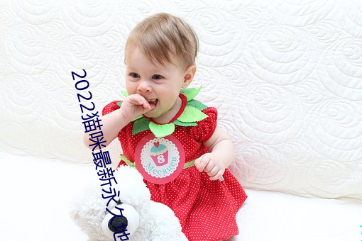 2022猫咪最(zuì)新永(yǒng)久(jiǔ)地域网名