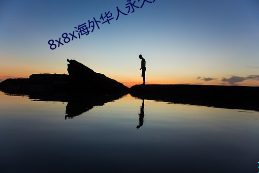 8x8x海外(外)华(華)人永久免费下(下)载(載)