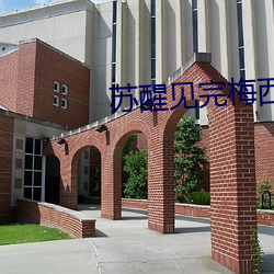 苏醒见完梅西偶遇来迟的薛之谦