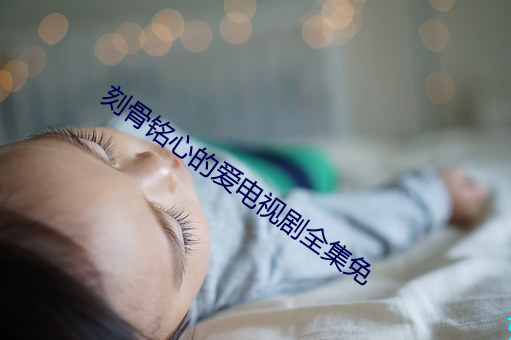 刻骨铭心的爱电视剧全集免