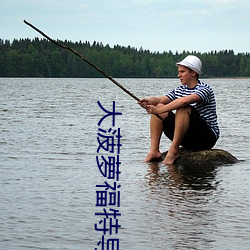 大菠萝福特导(導)航
