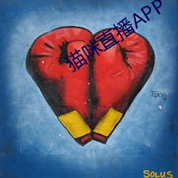 猫咪直播APP