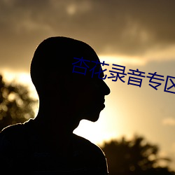 杏花录音专区
