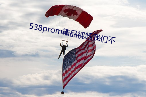 538prom精品视(視)频我们(們)不