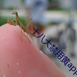 十八(bā)大禁用黄app软件排(pái)行(xíng)
