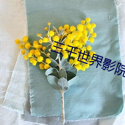 三千世界影院(院)