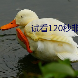 试(shì)看120秒非会员体(tǐ)险