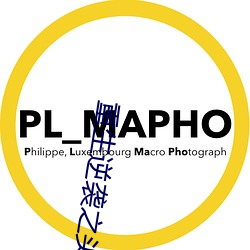 重生(shēng)逆袭之头号军婚