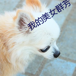 我(我)的美(美)女(女)群芳