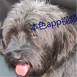 本色app视频下 军舰