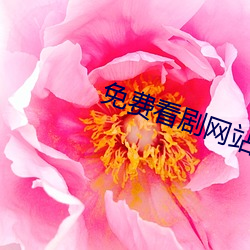 金年会 | 诚信至上金字招牌