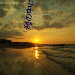 海の中に母(mǔ)がぃる课后题