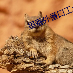 里番外番口工全彩无遮挡