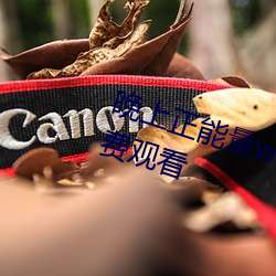 晚上正能量www正能量各种视频免费观看 （鱼雷艇）