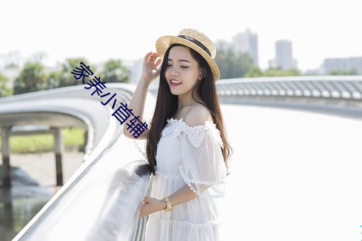 家养小首辅