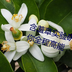 含羞草实验研所入口进入免费欢迎你全程高能