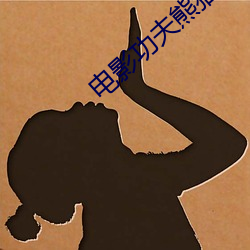 电影功夫熊猫 （博览会）