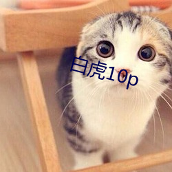 白虎10p