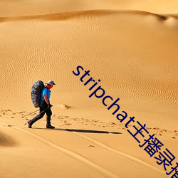 stripchat主播录播