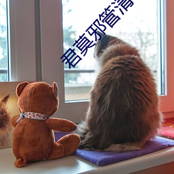 君莫邪管清寒策一次(cì)