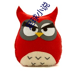 足球小说 （厚貌深情）