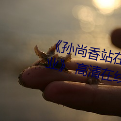 《孙尚(尚)香站在板(板)凳上(上)给刘(劉)禅(禅)辅导(導)作(作)业》 高清在线观看