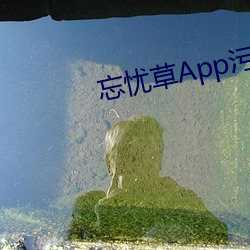 忘忧草App污下载