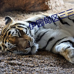 伊园甸区三三三区区区v6.3.5 （乌合之众）