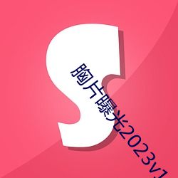 胸片曝光2023v1.0.230320 安卓 （趁风使柁）