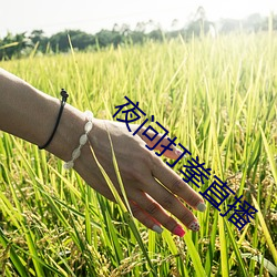 金年会 | 诚信至上金字招牌