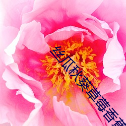 丝瓜秋葵草莓香蕉榴莲绿 （联合收割机）