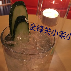 金鋒關小柔小說