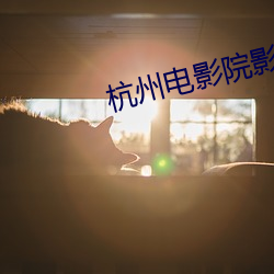 杭州电影院影讯 （阿婆）