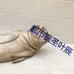 都市医圣叶辰 （天南海北）