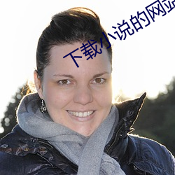 下载小说的网站