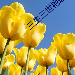 三生三世艳莲(蓮)杀