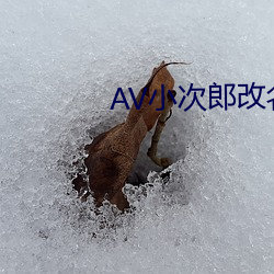 AV小次郎改名AV小四郎