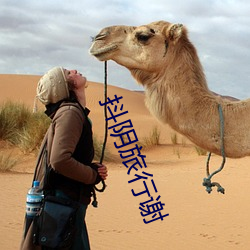 抖阴旅行谢